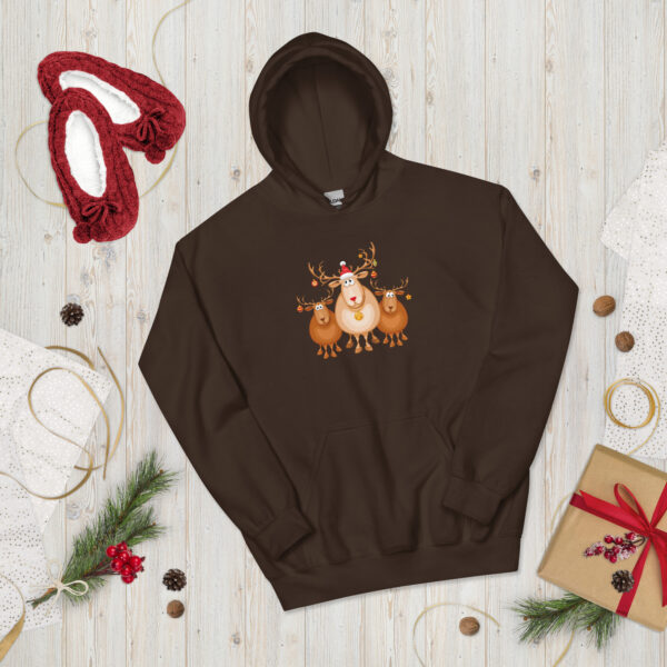 Hoodie – Rudolph And Friends